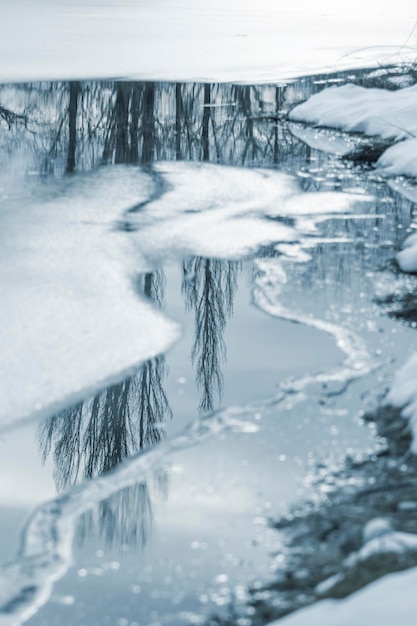 Inverno foresta fiume ghiacciato riflesso nell'acqua Fiume nevoso gelido