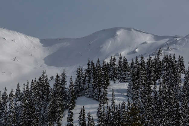 Inverno in montagna Freeride sulla stazione sciistica delle Alpi