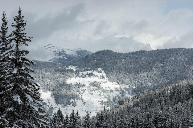 Inverno in montagna