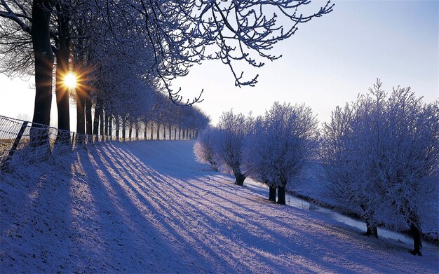 Inverno in Olanda Inverno nei Paesi Bassi