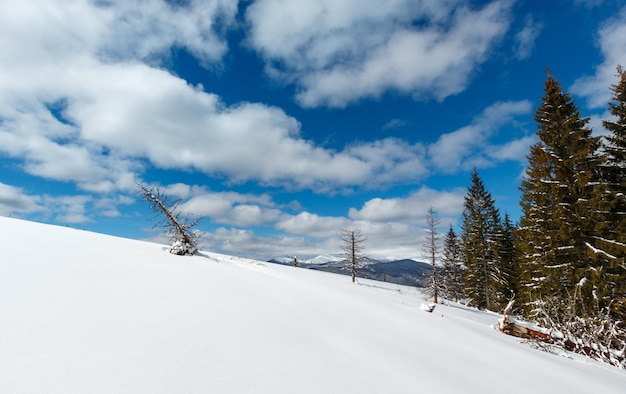 Inverno innevato Carpazi Ucraina