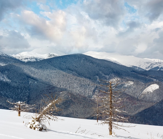 Inverno innevato Carpazi Ucraina