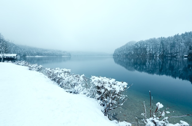 Inverno Lago Alpsee vista nebbiosa (Baviera, Germania)