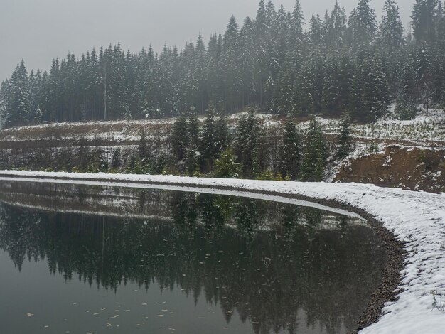 Inverno lago e foresta nei Carpazi