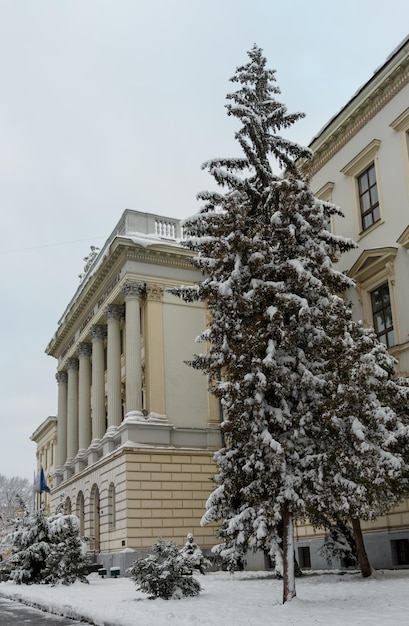 Inverno Lviv città Ucraina