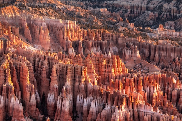 Inverno nel Parco Nazionale di Bryce Canyon, Utah, USA