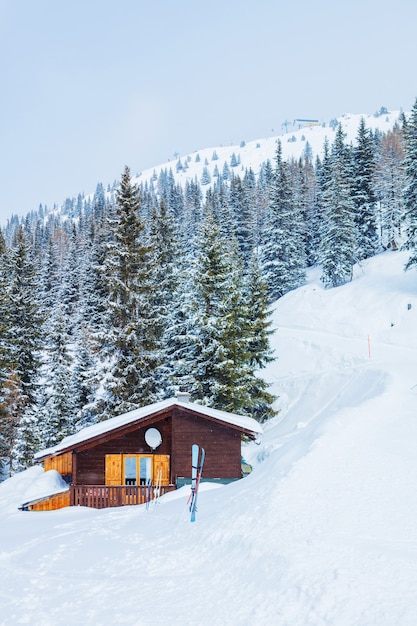 Inverno nelle alpi austriache. Bel paesaggio