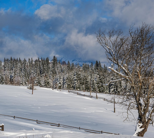Inverno remoto alpino villaggio di montagna periferia campagna colline boschetti e terreni agricoli