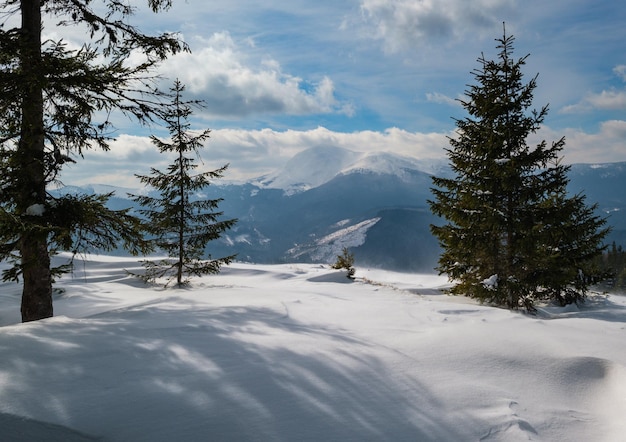 Inverno remoto alpino villaggio di montagna periferia campagna colline boschetti e terreni agricoli