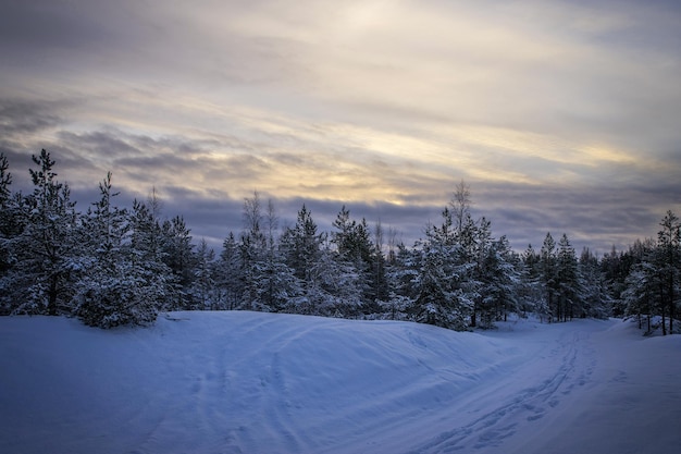 Inverno Stagione invernale