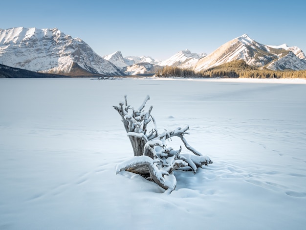 inverno sul lago ghiacciato coperto di neve. sparato al lago kananaskis alberta canada