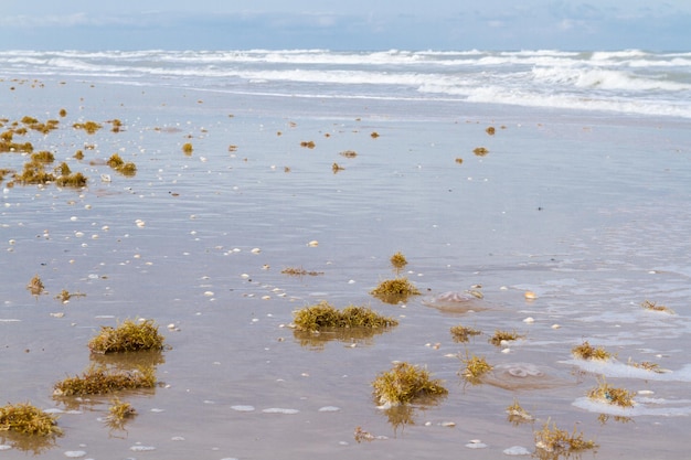 Inverno sulla spiaggia di South Padre Island.