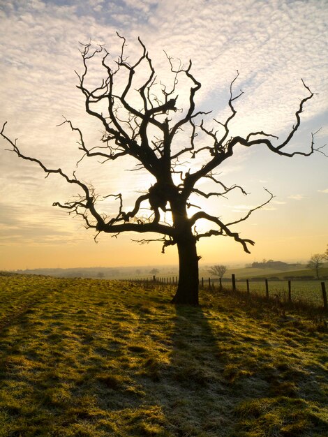 Inverno terreni agricoli Yorkshire in Inghilterra
