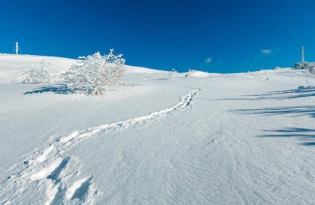 Inverno trasformata per forte gradiente glassa alberi torre e cumuli di neve Montagna dei Carpazi Ucraina