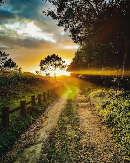 Ipnotizzante scenario di un tramonto sulla strada nei campi