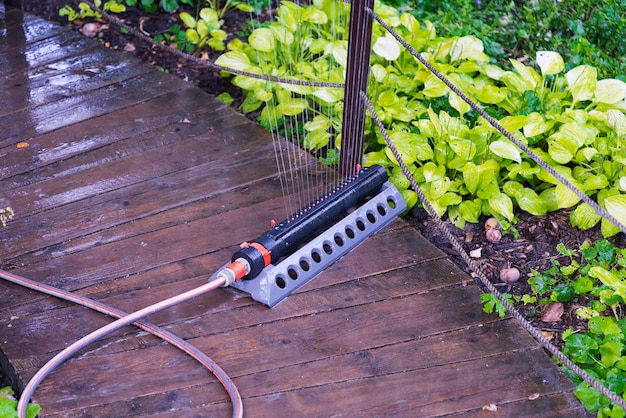 Irrigatore automatico da giardino che innaffia le piante gialle nel giardino