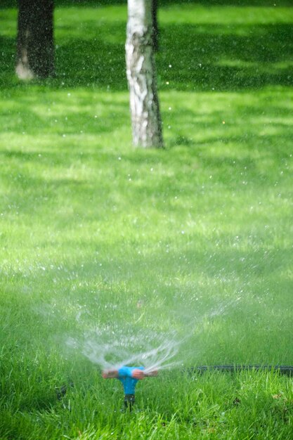 Irrigatore automatico per pratoIrrigazione dell'erba verde