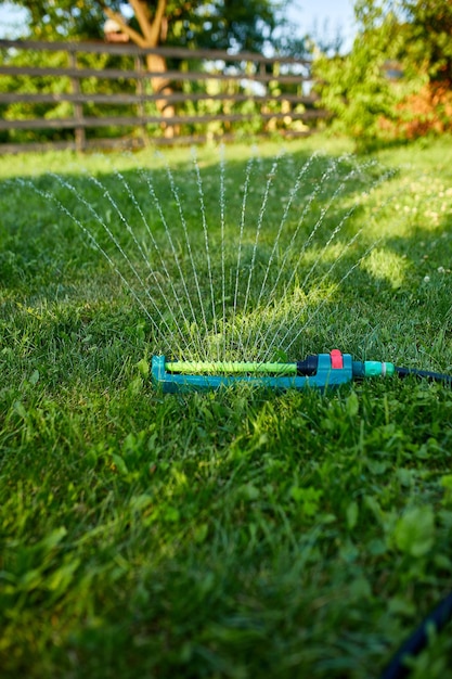 Irrigatore da giardino oscillante che spruzza acqua sull'erba verde nel cortile di casa, in estate o in primavera