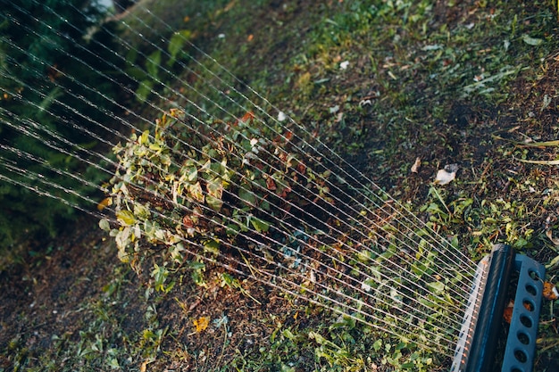 Irrigatore per prato che spruzza acqua sull'erba verde al parco giardino. Sistema di irrigazione.