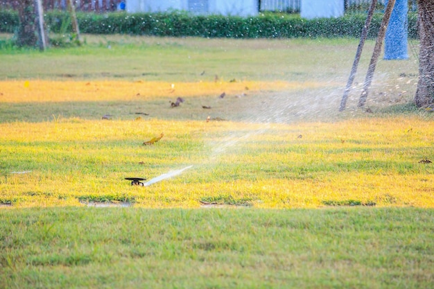 Irrigatori automatici per prato che innaffiano l'erba verde in giardino