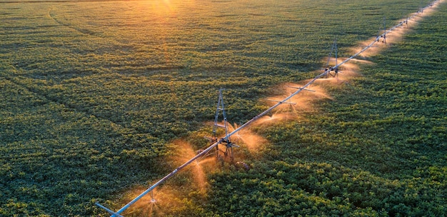 Irrigazione automatica dei campi agricoli vista drone