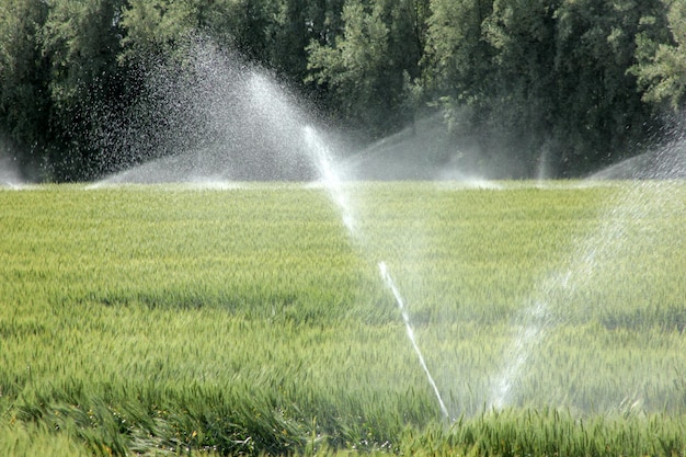 irrigazione dei terreni agricoli