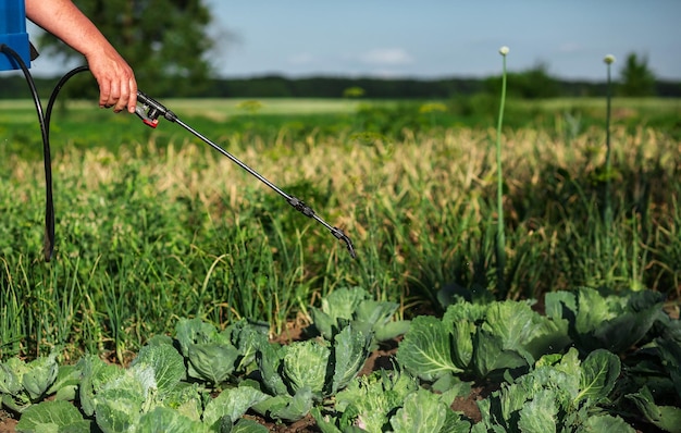 Irroratrice a tubo telescopico avvelena Agricoltura giardinaggio orto