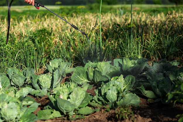 Irroratrice a tubo telescopico avvelena Agricoltura giardinaggio orto