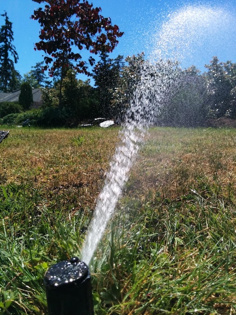 Irrorazione di acqua attraverso sprinkler agricolo sul campo