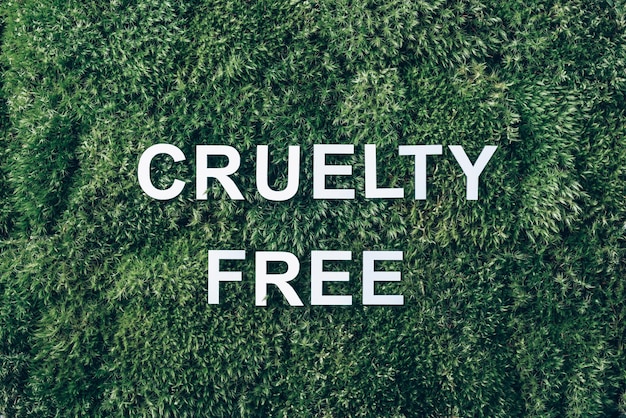 Iscrizione Cruelty Free su sfondo di erba verde muschio Vista dall'alto Spazio di copia Banner Concetto di biofilia Natura sullo sfondo