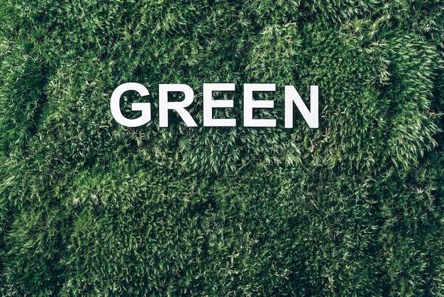 Iscrizione verde su sfondo di erba verde muschio Vista dall'alto Spazio di copia Banner Concetto di biofilia Natura sullo sfondo