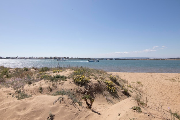 Isla Cristina Huelva Spagna Il ritorno dei pescherecci al porto