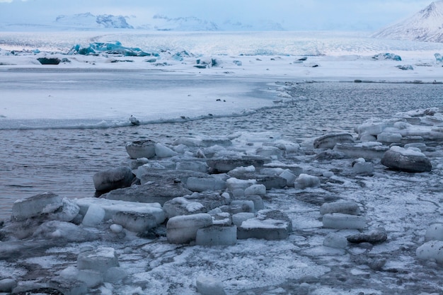 Islanda, iceberg galleggianti. Ghiaccio e cenere vulcanica. Laguna glaciale. Ghiaccio che si scioglie. Costa meridionale dell'Islanda. Laguna di Jokullsarlon