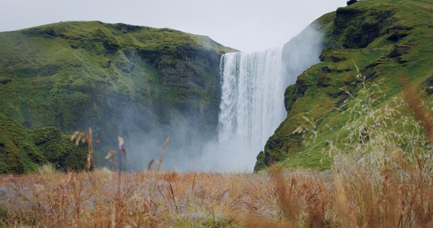 Islanda Skogafoss cascata con campo di fogliame in primo piano