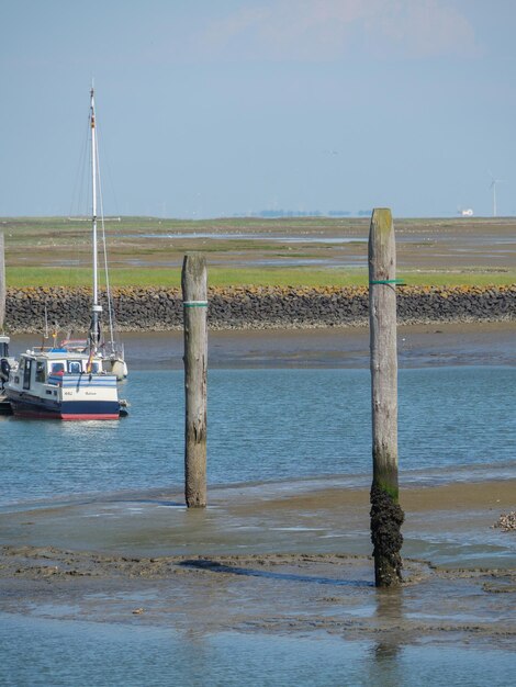 Isola Baltrum nel Mare del Nord