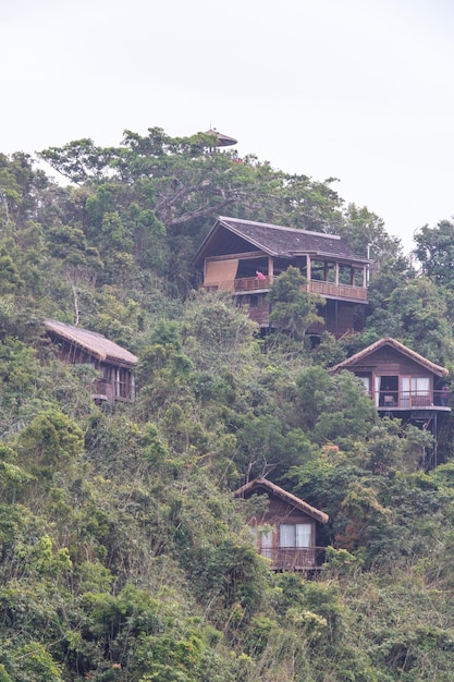 Isola cinese della giungla di Hainan