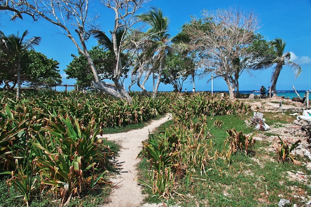 Isola dei pirati nella riserva naturale di Rosario nel Mar dei Caraibi vicino a Cartagena, Colombia