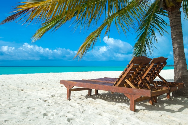Isola delle Maldive con spiaggia di sabbia bianca e mare