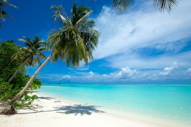 Isola delle Maldive con spiaggia di sabbia bianca e mare