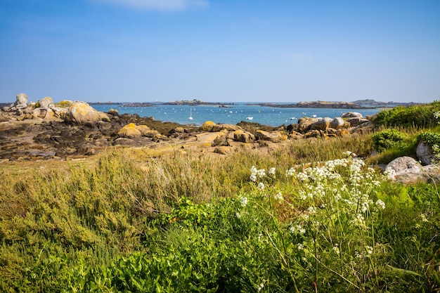 Isola di Chausey Bretagna Francia