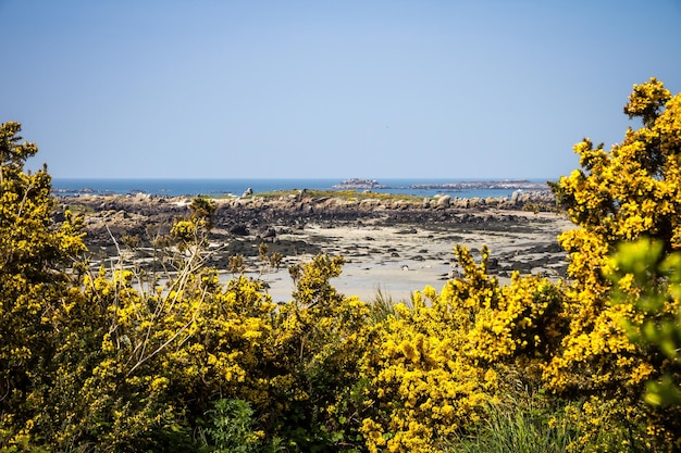 Isola di Chausey Bretagna Francia