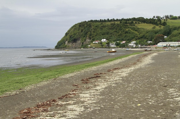 Isola di Chiloé Cile