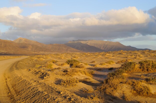 Isola di Fuerteventura