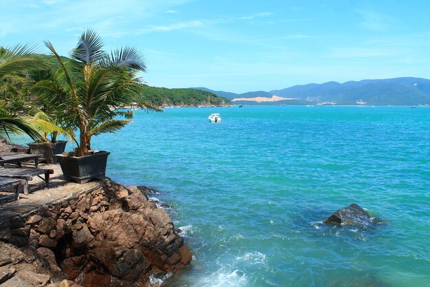 Isola di Hon Mieu o isola di Tri Nguyen o isola di Bong Nguyen. Nha Trang. Vietnam.