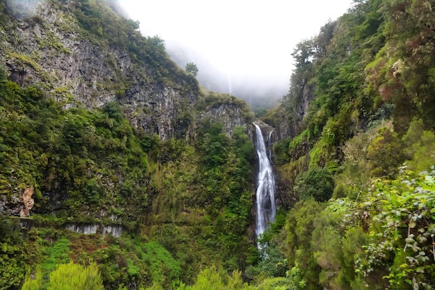 Isola di Madeira bellissima cascata e parco nazionale del paesaggio montano Ribeiro Frio Portogallo