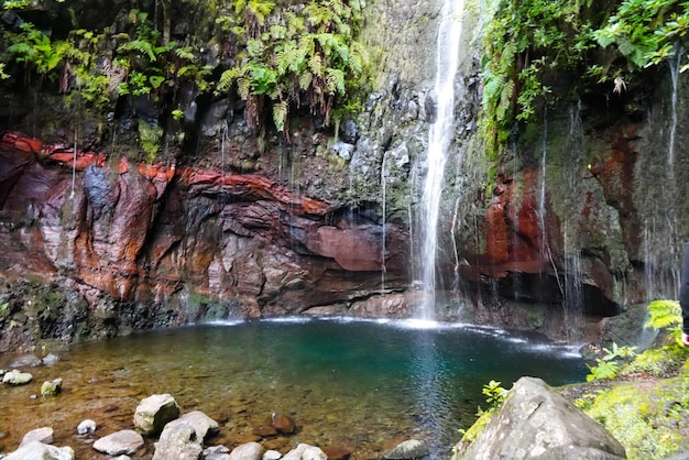 Isola di Madeira bellissima cascata e parco nazionale del paesaggio montano Ribeiro Frio Portogallo