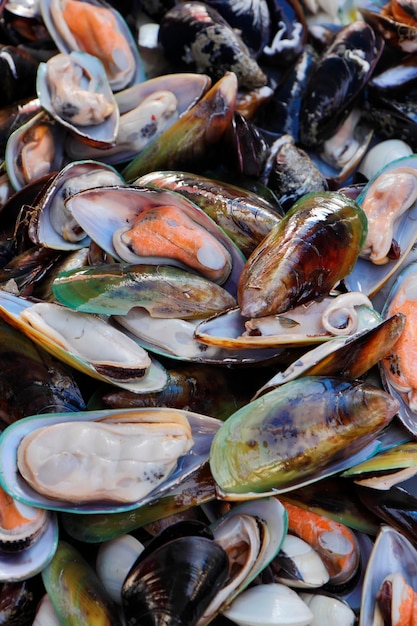 Isola di Malta, cozze (Mytilus galloprovincialis) in vendita in un mercato del pesce locale