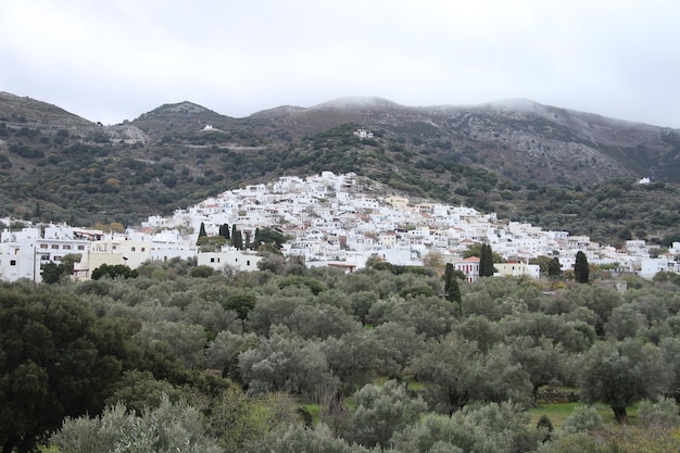 Isola di Naxos Grecia