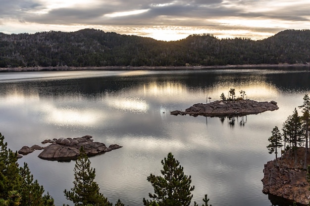 Isola di pietre con alberi nel mezzo di una palude all'alba