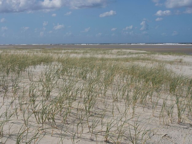 Isola di Spiekeroog